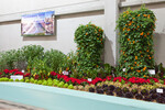 Aussteller Gärtnerei Zeller & Zeller, Blieskastel. Foto: DBG