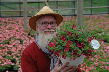 Fernsehgrtner John Langley mit der Pflanze des Jahres im Norden 2014 "Miss Pink Sunshine"