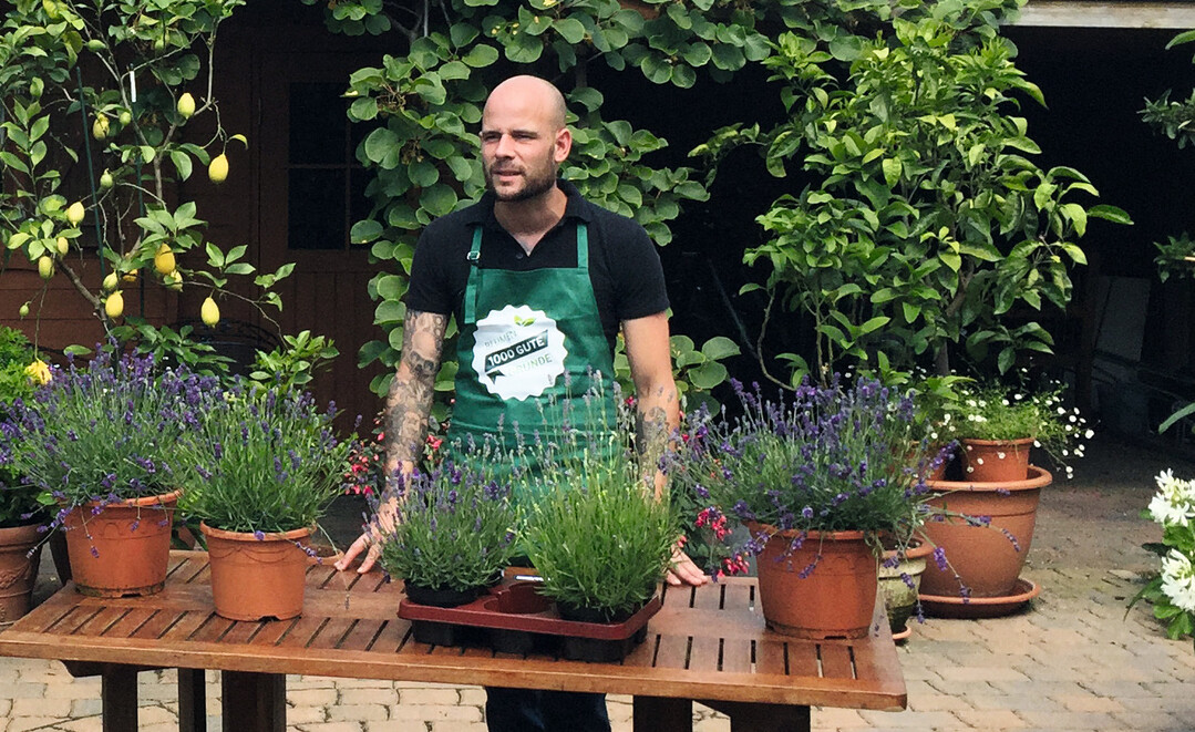 Es gibt 1000 gute Gründe, einem lieben Menschen oder sich selbst mit Blumen und Pflanzen eine Freude zu bereiten. Sie gehören einfach zum Leben dazu und sollten wieder stärker im Bewusstsein der Menschen verankert sein. Dafür setzt sich die Initiative „Blumen – 1000 gute Gründe“ ein.