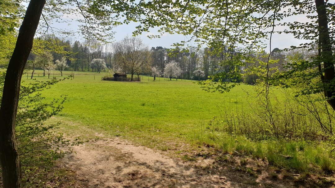 Die Bodenfeuchte im April 2020 ist ungewöhnlich niedrig