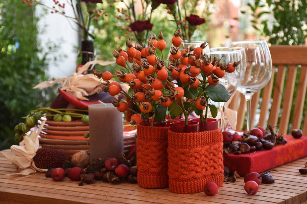 Tischarrangements mit Hagebutten, Kastanien und Zieräpfeln geben Anregungen für die herbstliche Dekoration daheim.