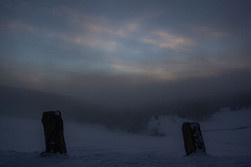Nebel im Januar 