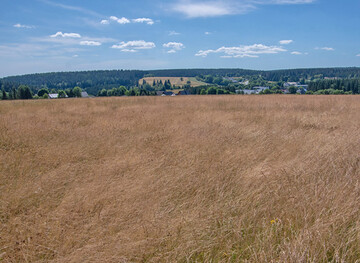 Trockenheit Neuhaus am Rennweg in Thringen.
