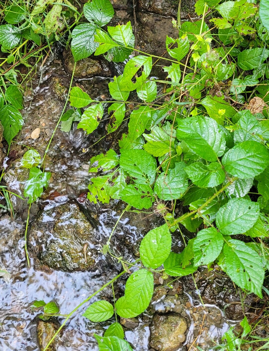 Der September 2022 brachte lang ersehnten Regen.