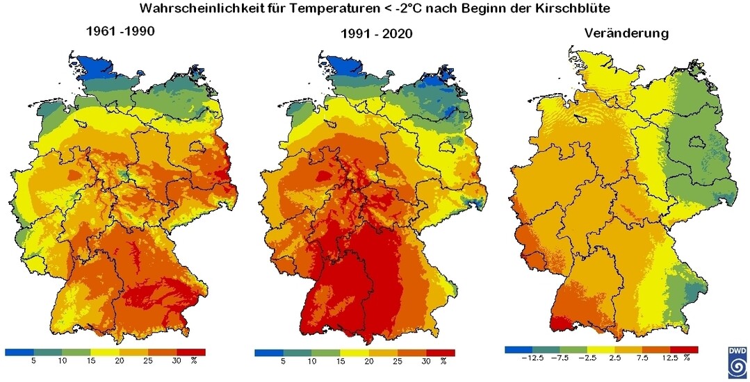 Sptfrostwahrscheinlichkeit Kirschblte