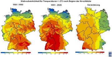 Sptfrostwahrscheinlichkeit Kirschblte