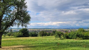 Im Juli fielen mit rund 100 Litern pro Quadratmeter (l/m) knapp 30 Prozent mehr des Niederschlags der Referenzperiode 1961 bis 1990 (78 l/m).