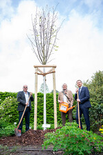 Am 13. April 2024 fand die Pflanzung einer Winterlinde anlässlich des Campustages der HTW Dresden und des 30-jährigen Bestehens des Campus Pillnitz in Anwesenheit von Ministerpräsident Michael Kretschmer (rechts) statt. Neben ihm Prof. Katrin Salchert, Rektorin der HTW Dresden, und Andreas Wehle, Präsident des Verbandes Garten-, Landschafts- und Sportplatzbau Sachsen.