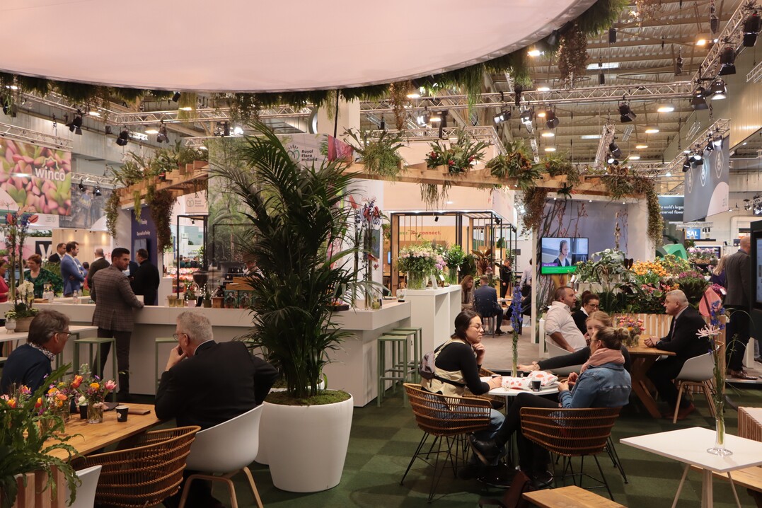 Im Herzen des neuen Pavillons von Royal FloraHolland in Halle 1 gibt es einen Bereich, der zum Treffen und Austauschen einlädt – umgeben von üppigem Grün.