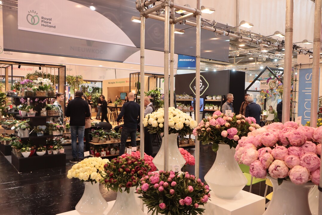 A large selection of cut flowers can also be found at the joint stand under the motto "connect to grow".