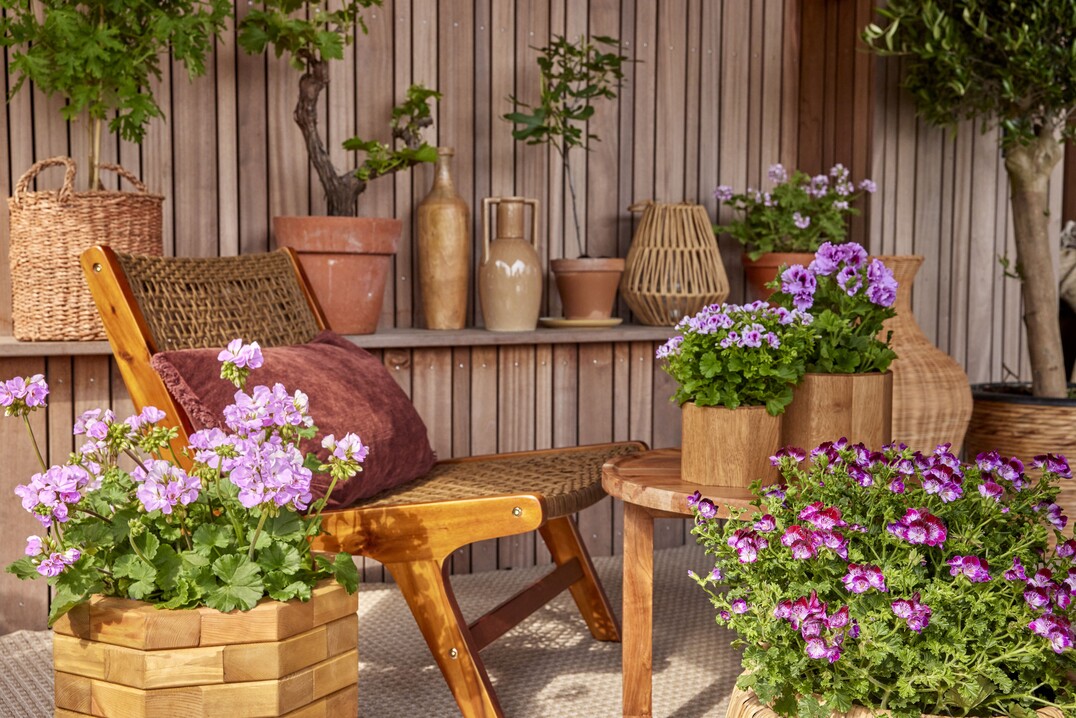 Eco-Chic <br>