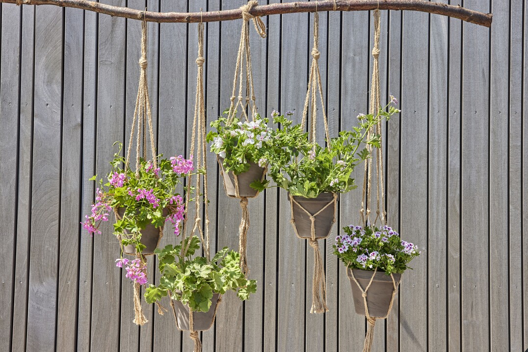 Eco-Chic 