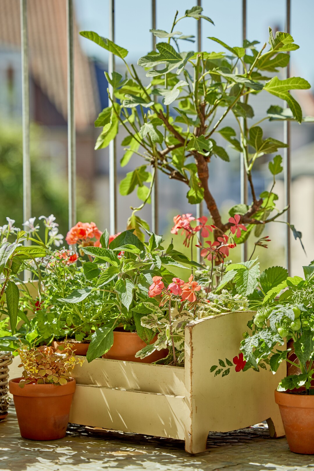 Mini-Balkon-Oasen