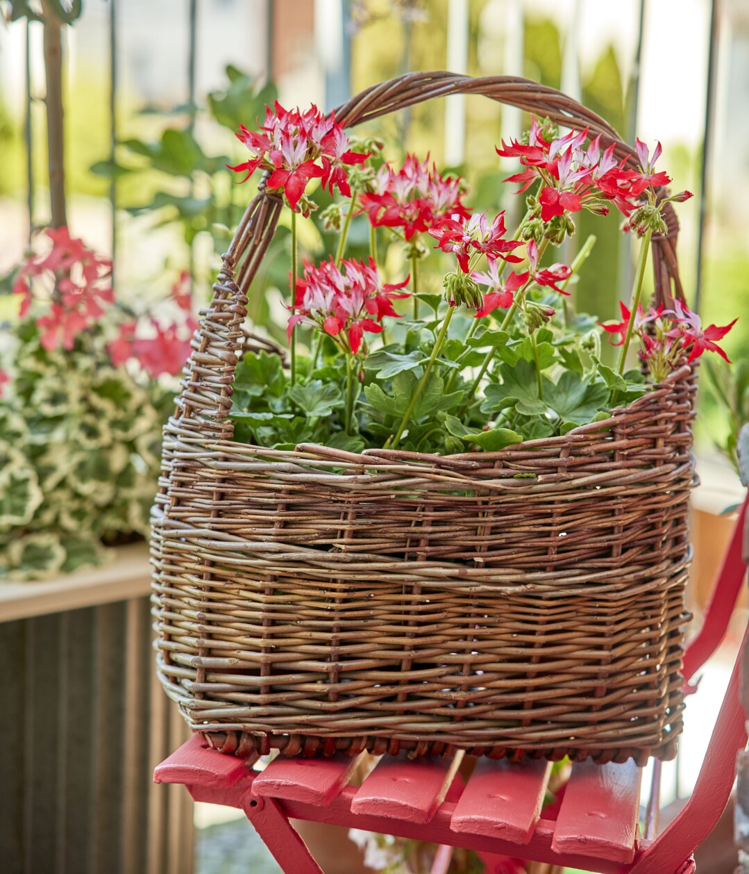 Mini-Balkon-Oasen