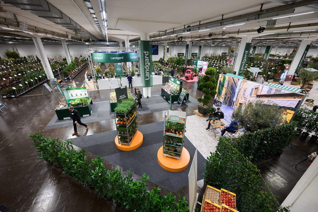 The Landgard Order Days in Hall 1A offer over 6,000 square meters of green variety.