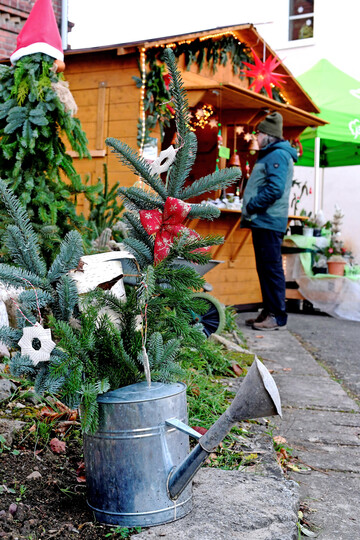 Zur zweiten Auflage der Th�ringer G�rtnerWeihnacht am 12. und 13. Dezember 2025 laden der
Landesverband f�r Gartenbau Th�ringen und die Stiftung Deutsches Gartenbaumuseum erneut
herzlich ein.
