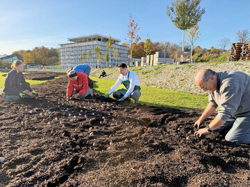 Oberb�rgermeister Michael Dambacher (Mitte) und ein Team von ehrenamtlichen Helfern bereiten im gelieferten Substrat das Fr�hjahr 2026 vor.