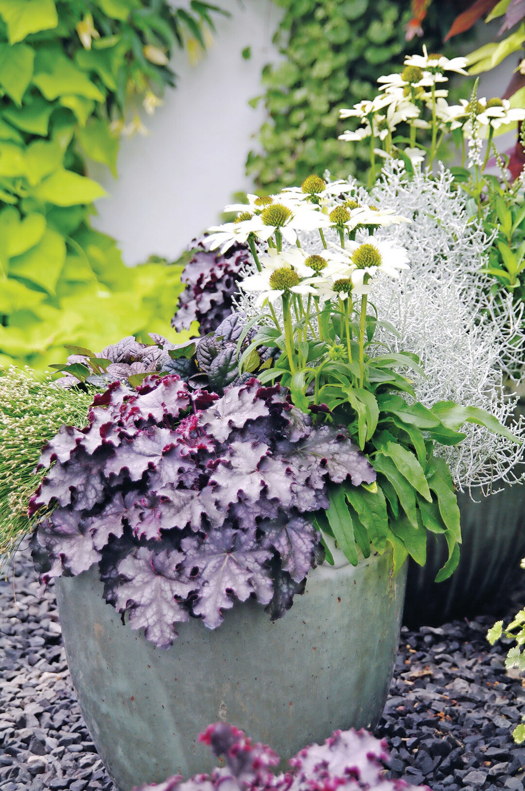 „Herbstzauber“ gehört zu bekanntesten Markenkonzepten im Gartenbau.