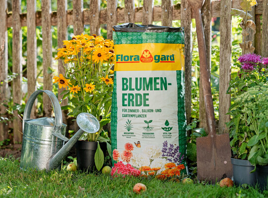 Optimized by JPEGmini 3.18.24.240840988-YEV 0x01ee8039