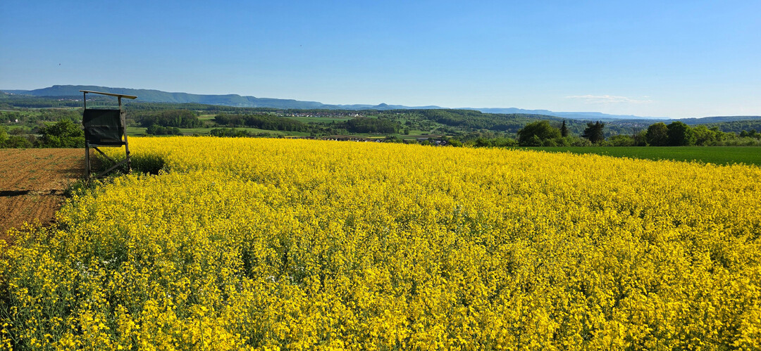 Eine Trockenphase pr�gte die Monate Februar bis Mai. 