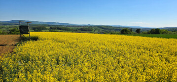 Eine Trockenphase pr�gte die Monate Februar bis Mai. 