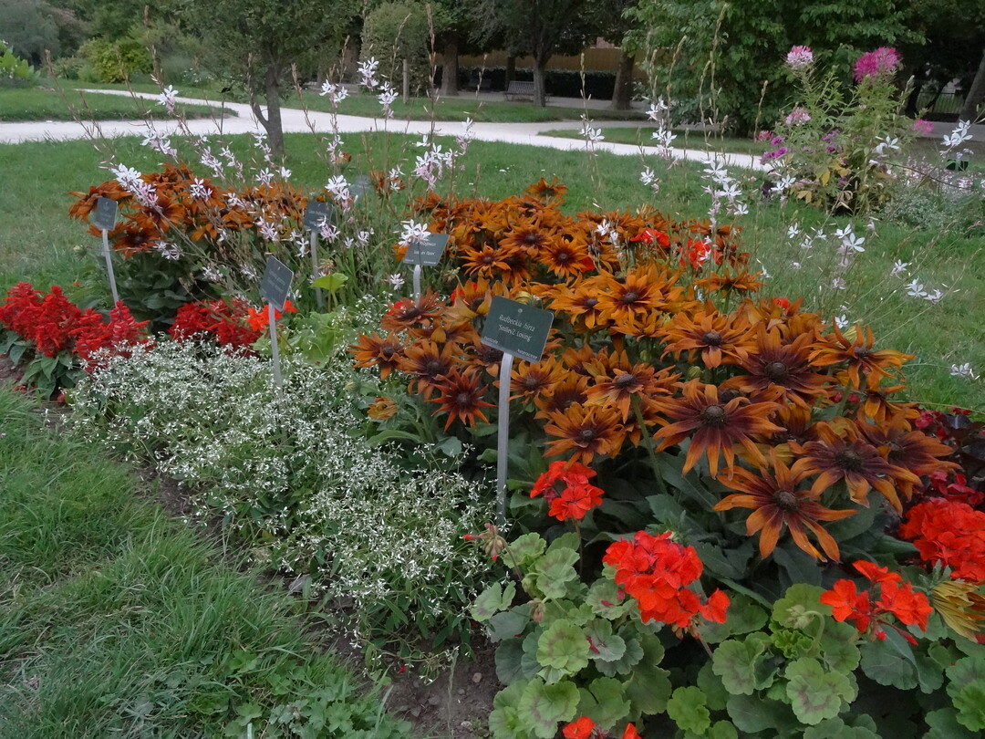 Jardin des Plantes, Paris