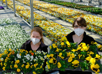  Melina Wupper (links) und Miriam Marsolek, Auszubildende der Stadtgrtnerei, prsentieren die Frhlingsbepflanzung