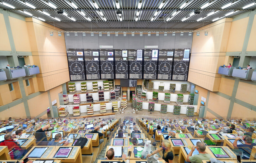 Versteigerungssaal der Veiling Rhein-Maas