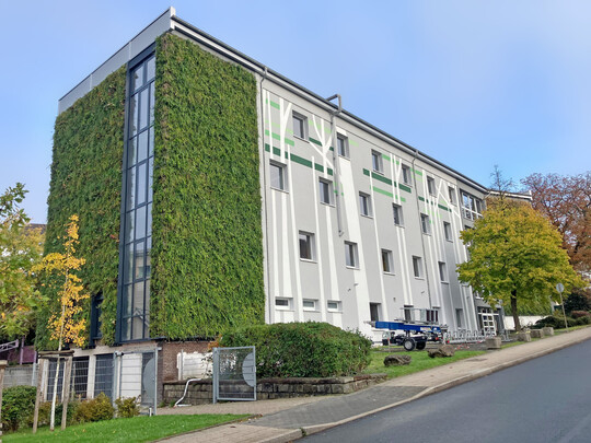 Fassadenbegrünungen waren eines der Themen beim Ahlemer Forum. Sie bieten viele Vorteile und verbessern das Bild trister Fassaden.