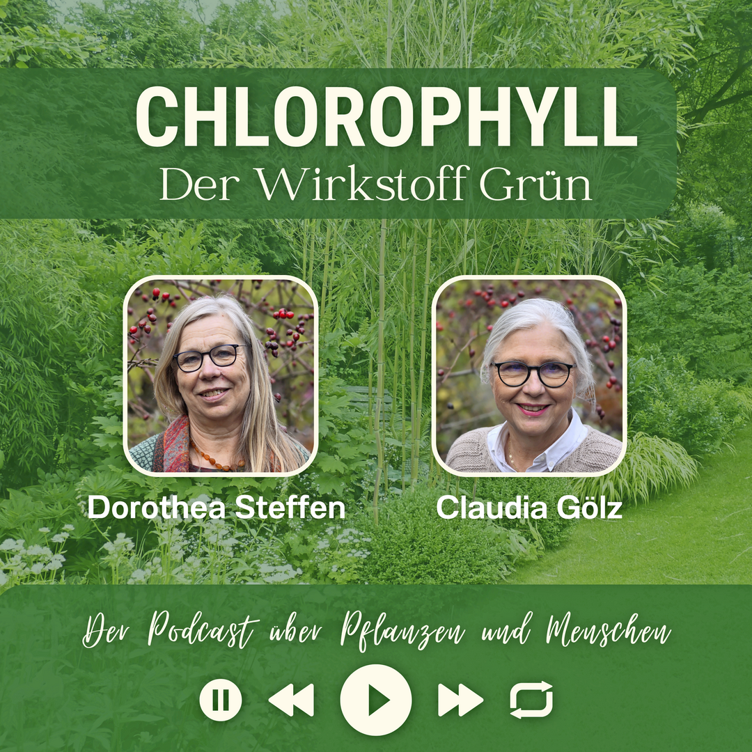 Es geht um Nat�rlichkeit im Garten, was Steffen darunter versteht, wie sie gelingen kann und welchen Beitrag man mit jedem einzelnen Garten f�r das gro�e Ganze zu leisten vermag.