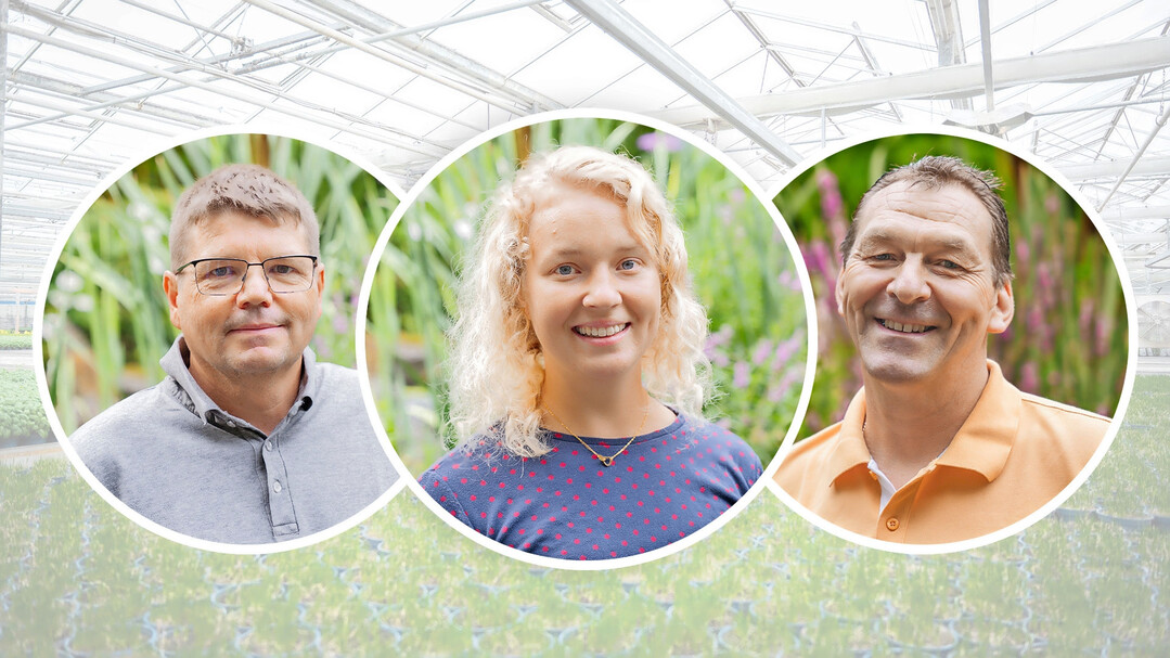 Von links: Florian Berger, Enke Scholz und Markus Wittmann.