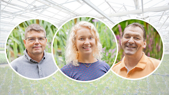 Von links: Florian Berger, Enke Scholz und Markus Wittmann.