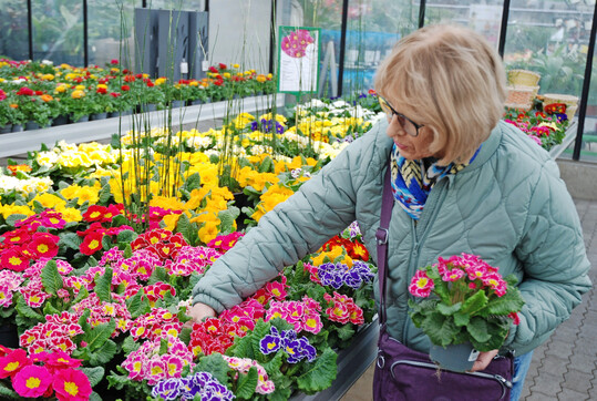 Fr�hlingsfrische Farben locken auch bei angespanntem Budget.