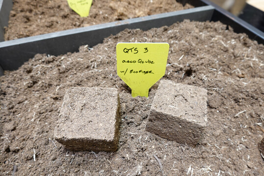 QTS 3 enth�lt einen Kleber f�r die Presstopferden-Eignung (Pindstrup).