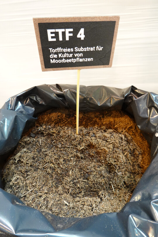 ETF4 hat sich f�r Moorbeetpflanzen bew�hrt (Eifel-Holz).