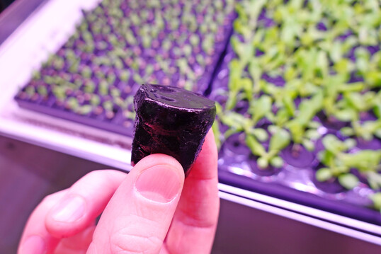 Der Jiff Gel gilt als Gamechanger.