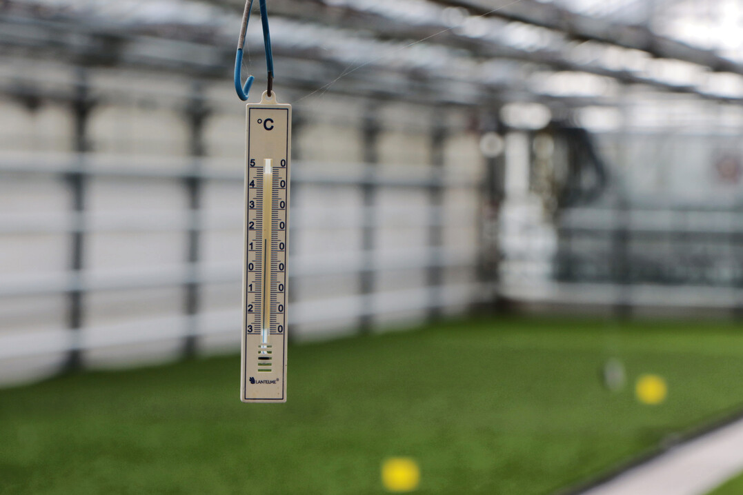 Die Temperatur in der Wirtschaft und auch im Gartenbau ist derzeit eine k�hle.