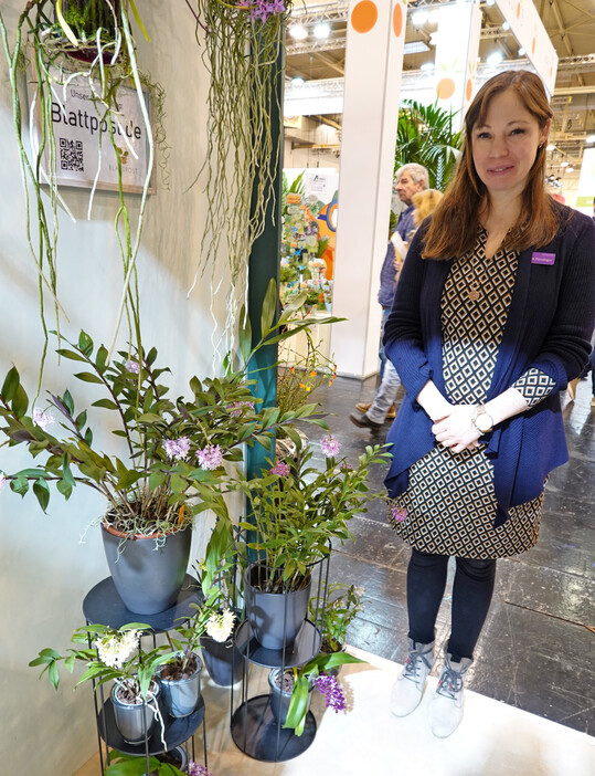 Jasmin Hassinger zeigte die hübschen
<i>Epidendrum</i>
.