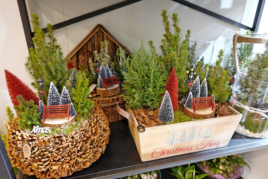 Kleine Winterlandschaften zusammen mit kleinen Weihnachtsbäumen von PT Creations