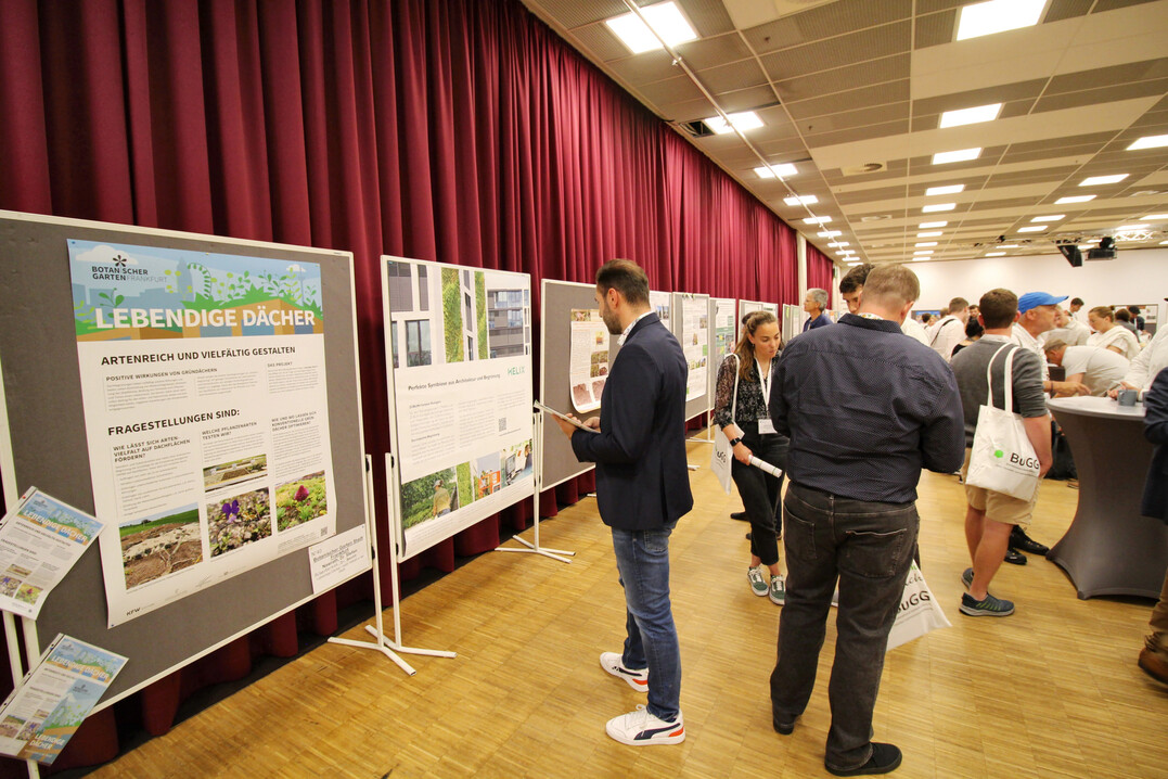 Eine Poster-Ausstellung zu aktuellen Forschungsthemen begleitet auch in diesem Jahr wieder den Kongress.