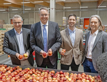 Von links: Reinhard Oerther (Vorstand Vertrieb), Ministerpräsident Alexander Schweitzer, Constantin Küpker (Prokurist) sowie der Aufsichtsratsvorsitzende von Pfalzmarkt eG, Christian Deyerling.