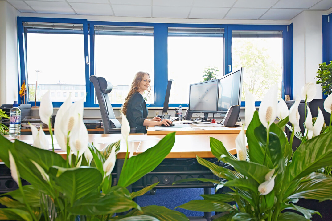 Es sind die kleinen, vielfach �berraschenden Momente im Leben, die unsere innere Zufriedenheit st�rken und damit Energie tanken lassen. 