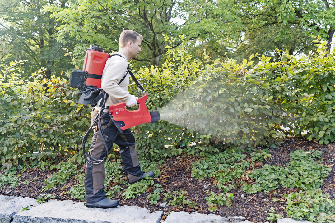 Die Hecke wird mit einem Flachstrahlaufsatz gespritzt.