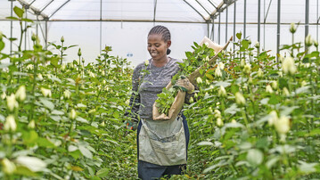 Vom Anbau in den G�rtnereien bis zum Verkauf in Blumenfachgesch�ften sind es vor allem Frauen, die den Blumenmarkt tragen.