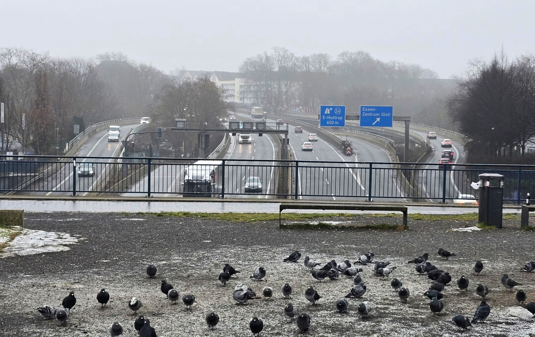 Der Winter 2025/2026 blieb insgesamt recht niederschlagsarm.