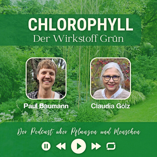 Der Podcast „CHLOROPHYLL - der Wirkstoff Grün“ gibt Menschen eine Stimme, die das Thema Grün aus Berufung, Leidenschaft oder Wissenschaft prägen – in der 55. Folge war Paul Baumann zu Gast.