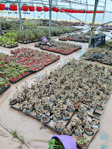 Sturmtief „Nils“ und die darauf folgenden Hochwasser haben im Südwesten und Westen Frankreichs zu hohen Schäden geführt. Das Bild zeigt, was die Überflutung in einem Betrieb im Département Lot-et-Garonne angerichtet hat.
