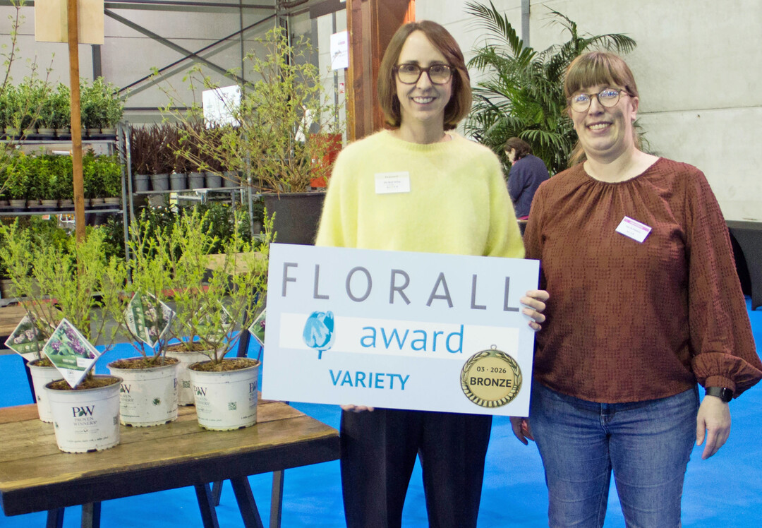 Bronze: 
<i>Syringa </i>
�Smnsdtp� (Proven Winners Baby Kim) � Willy De Nolf