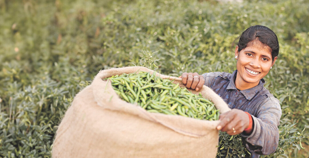 Die “Farmer Voice”-Umfrage zeigt die Bestrebungen von Landwirtinnen und Landwirten auf der ganzen Welt, Antworten auf den Klimawandel zu finden und sich gut für die Zukunft aufzustellen.