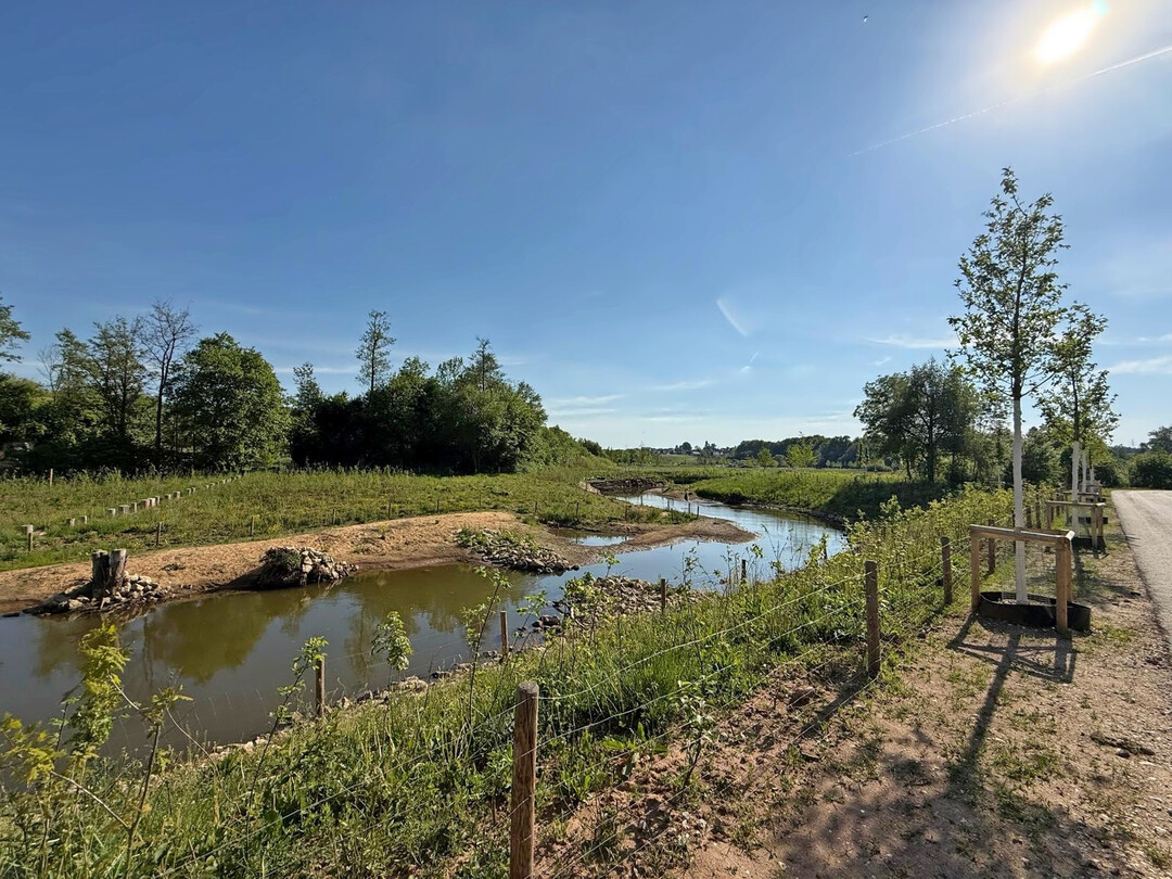 Das Flussbett der Jagst wurde renaturiert und bietet nun auch einen Stadtstrand.
